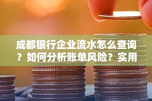 成都银行企业流水怎么查询？如何分析账单风险？实用指南